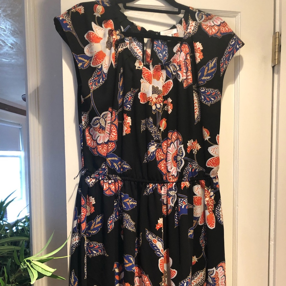 Lauren Conrad Black, Red and Blue Floral Dress